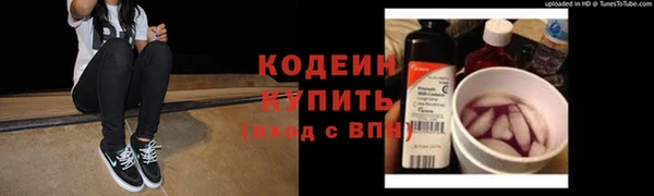 скорость Вяземский