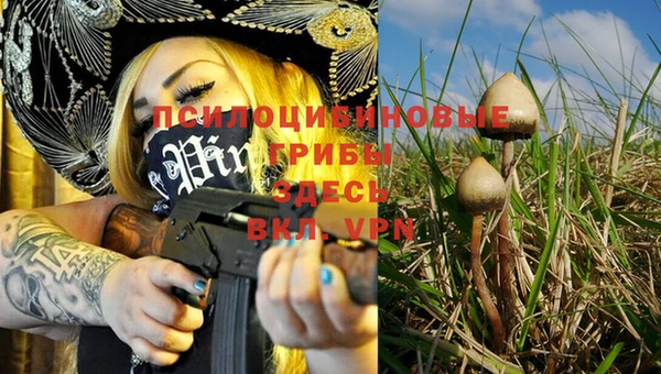 MDMA Вязьма