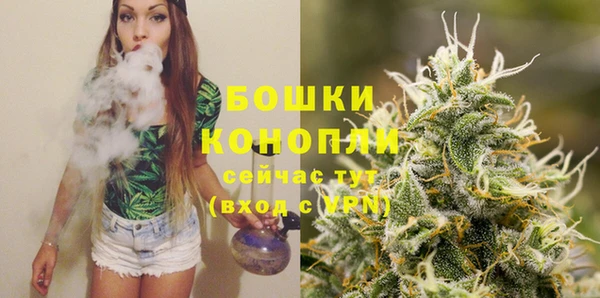 скорость Вяземский