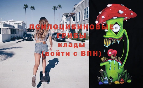 скорость Вяземский