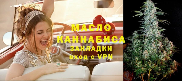 скорость Вяземский