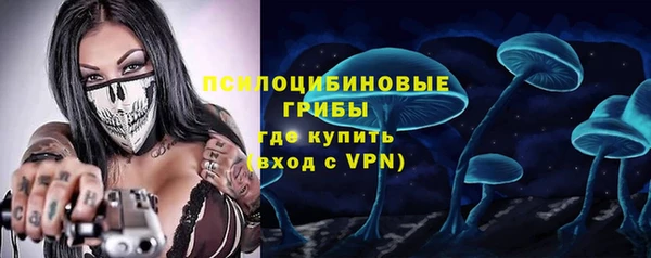 скорость Вяземский